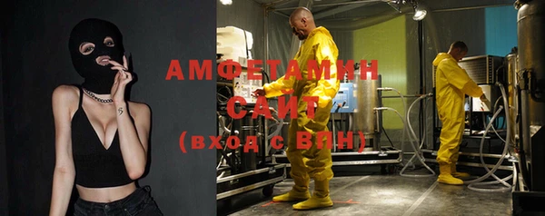 сатива Бородино