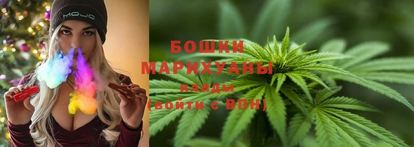 гидра Бронницы