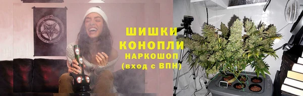 сатива Бородино