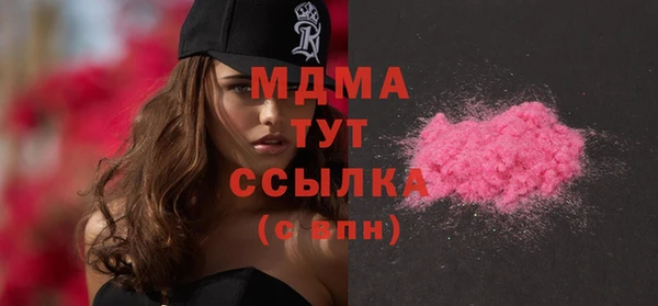 сатива Бородино