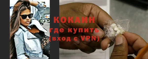 сатива Бородино