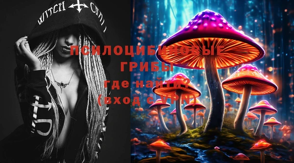 2c-b Бугульма