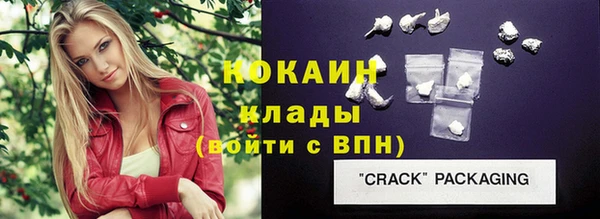 сатива Бородино